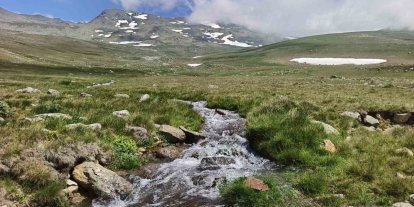 Ordu’nun yaylalarında yaz güzelliği