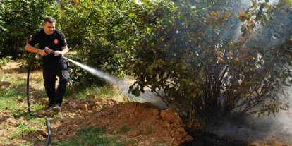 Düzce İtfaiyesi 3 ayda 300 anız yangınına müdahale etti