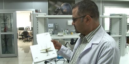 Çekirge paniğine uzman yorumu: "İstila söz konusu değil"