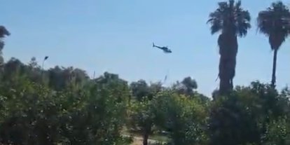 Marmaris’te zirai alan yangını kontrol altında
