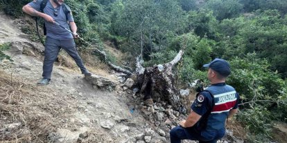 Ağaç yangını korkuttu