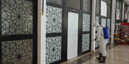 Bilecik Belediyesi’nden çekirgelere karşı erken önlem
