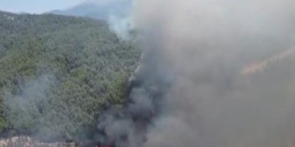 Kuyucak’ta orman yangını