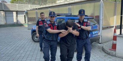 Odunluğa saklanan 4 bin 531 uyuşturucu hap ele geçirildi: 1 tutuklama