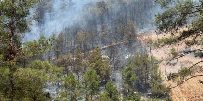 Fethiye’de orman yangınını söndürme çalışmaları sürüyor