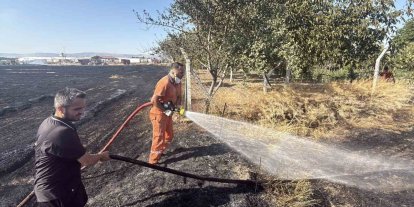 Eskişehir’de anız yangını: Alevler milyar dolarlık fabrikaya 200 metre kala durduruldu