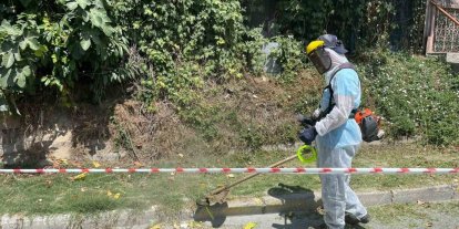 İBB’nin sorumluluğundaki yollarda otlar metrelerce uzadı, temizliği Beykoz Belediyesi yaptı