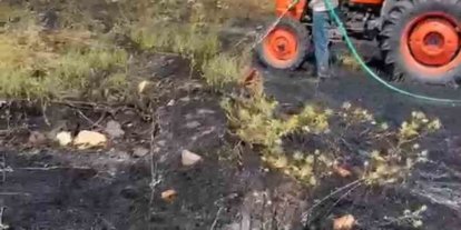 Kütahya’da orman yangını paniğe sebep oldu