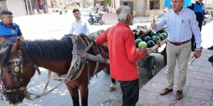 Mersin’de bitkin düşen at yeni yuvasına kavuştu