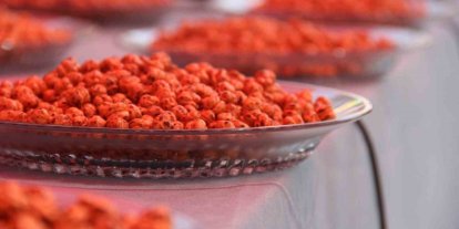 Uluslararası Hitit Fuar ve Festivali’nde Çorum’un en iyi leblebileri yarıştı