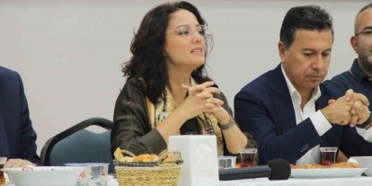 Ahmet Aras ve Gonca Köksal Aras’tan istifa açıklaması: "Şu an istifa ediyoruz gibi bir durum yok"