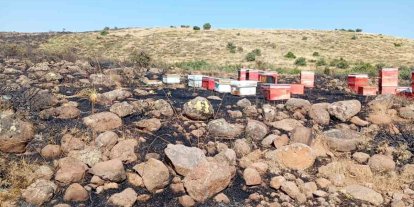 Elazığ’da arazi yangını: Arı kovanları zarar gördü
