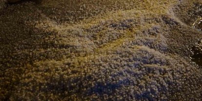 Alaca’da sağanak doluya dönüştü, cadde ve sokaklar beyaza büründü
