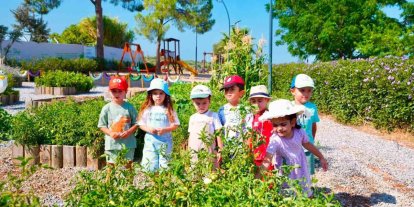 Didim Belediyesi Tarım Parkı’nda minikler hasat deneyimi yaşadı