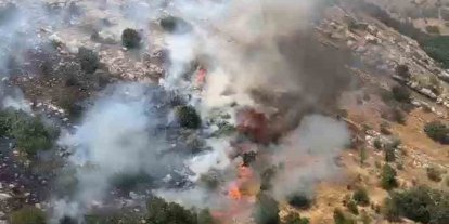 Diyarbakır’da çıkan örtü ve orman yangınları söndürüldü