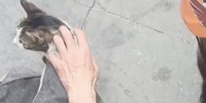Dar alanda sıkışan kediyi DAK ekipleri kurtardı