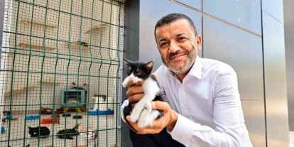 Denizli Büyükşehir’den can dostlarına şefkat eli