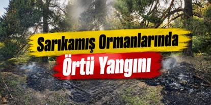 Sarıkamış ormanlarında örtü yangını