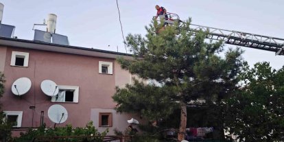 Apartman çatısında mahsur kalan kedi itfaiye ekiplerince kurtarıldı
