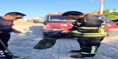 Evin bahçesine giren yılan itfaiye ekiplerini peşinden koşturdu