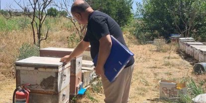Köşk’te arılı kovan tespit çalışmaları sürüyor