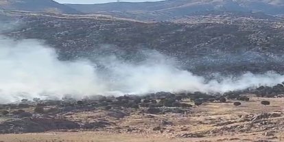 Adıyaman’da ormanlık alanda yangın