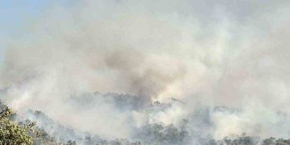 Uşak’ta meşelik alanda çıkan yangına müdahale devam ediyor