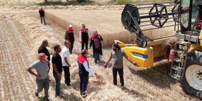 Erzincan’da buğday hasadı sürüyor, biçerdöverler denetlendi