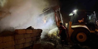 Iğdır’da 2 bin balya alevlere teslim oldu