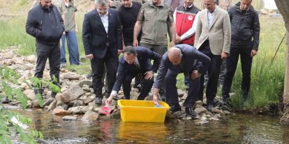Ordu’da 35 bin doğal alabalık dereye bırakıldı
