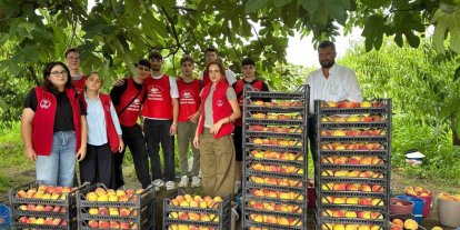 Çarşamba’da ‘Gönüllü Hasat Etkinliği’