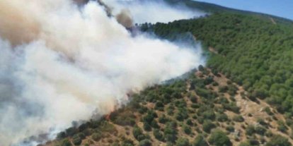 Yalova’daki orman yangını söndürüldü, bölgede soğutma çalışmaları sürüyor