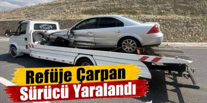 Sarıkamış'ta refüje çarpan otomobilin sürücüsü yaralandı