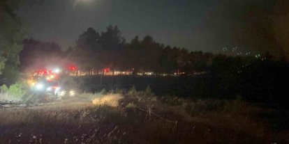 Fethiye’de Yeşilüzümlü Mahallesinde orman yangını başladı