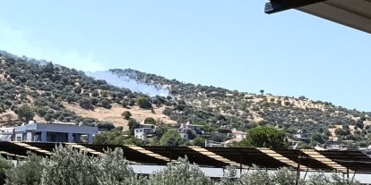 Bozdoğan’daki zirai alan yangını kontrol altına alındı