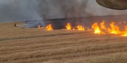Diyarbakır’da 5 bin dönüm arazi alevlere teslim oldu