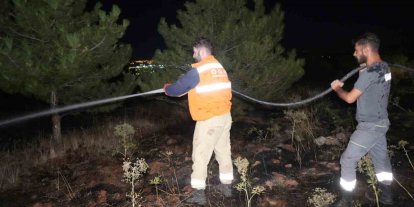 Bir kuş çam ormanlarını alevlerin eşiğine getirdi: Yangın büyümeden söndürüldü