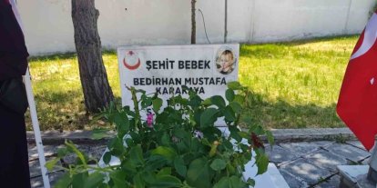 PKK’nın şehit ettiği 11 aylık Bedirhan bebek ve annesi unutulmadı