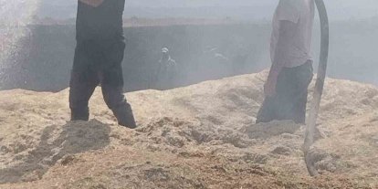 Bingöl’de arazi yangını: 2 bin dönüm arazi zarar gördü