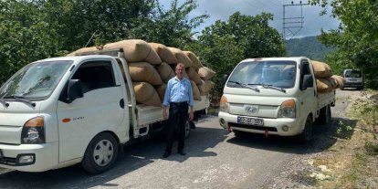 Fındık tüccarından üreticiye kritik uyarı: "Dalından toplamayın, yere dökülmesini bekleyin"