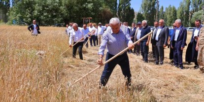 Binali Yıldırım Harman Şenliği’nde tırpan salladı