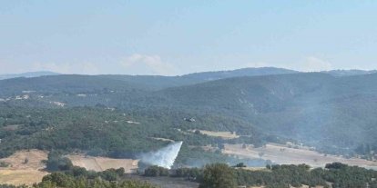 Bilecik’te ormanlık alandaki yangın kontrol altına alındı