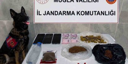 Jandarma KOM ekiplerinden Temmuz’da 24 operasyon
