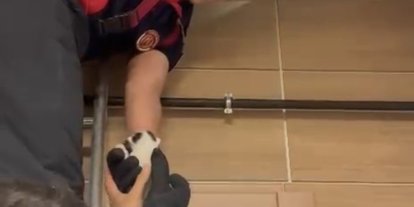 Asma tavanda mahsur kalan kedileri itfaiye kurtardı