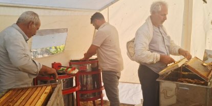 Sincik’te bal hasadı başladı