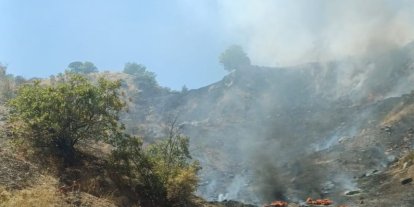 Çöp alanından sıçrayan ateş ormanlık alanı yaktı