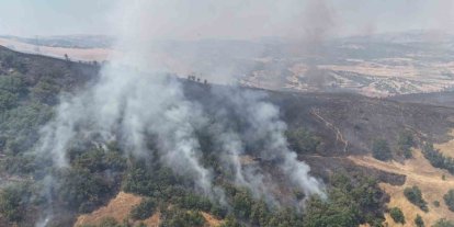 Tunceli’de orman yangını: Havadan ve karadan müdahaleye başlandı