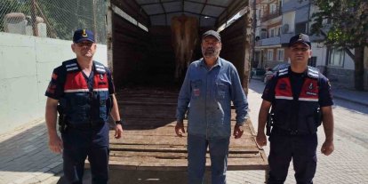 Eskişehir’de çalınan büyükbaş hayvanlardan biri Bilecik’te bulundu