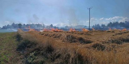Kastamonu’da çıkan yangında 13 dönümlük tarar zarar gördü