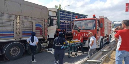 Tavuk yüklü tır, önündeki kamyona çarptı: 2 yaralı